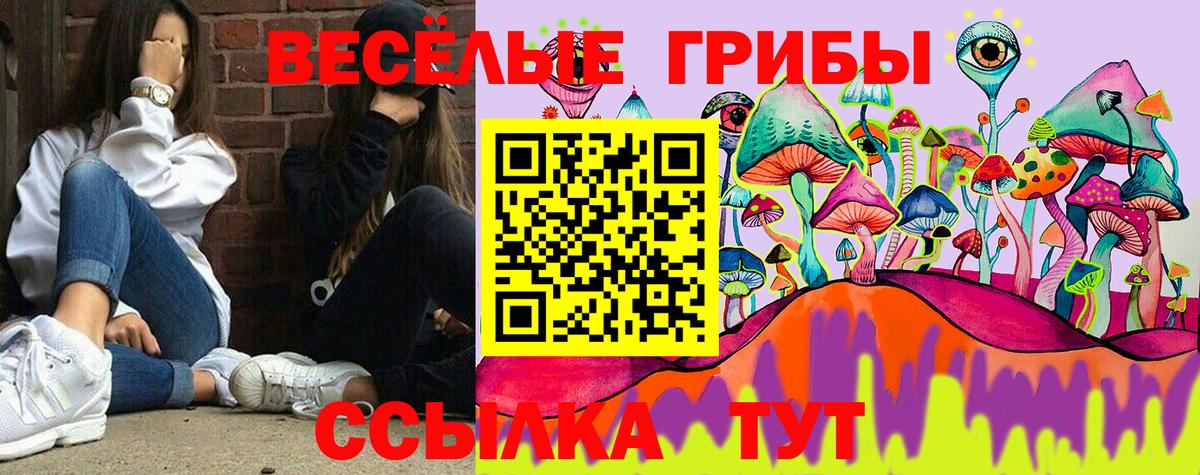 Галлюциногенные грибы Cubensis  купить   Псилоцибиновые грибы MAGIC MUSHROOMS  Ачинск  Вход с VPN 