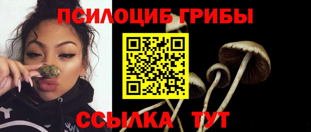 Галлюциногенные грибы мухоморы Ачинск